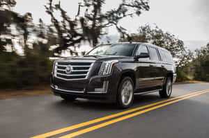 Stunning Cadillac Escalade In White Wallpaper