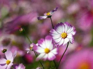 Stunning Cityscape Photography Of Modern Buildings Wallpaper