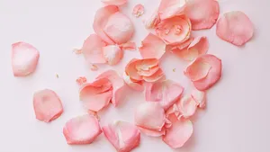 Stunning Close-up Of Red Rose Petal Wallpaper