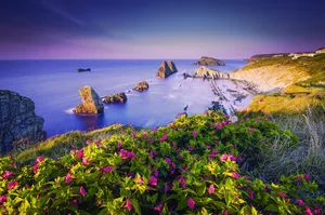 Stunning Coastline Panorama Wallpaper