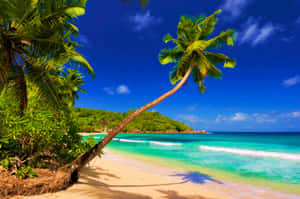 Stunning Coastline View Wallpaper