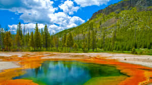 Stunning Eruption Of A Geyser At Yellowstone National Park Wallpaper