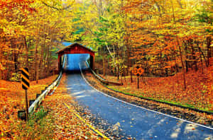 Stunning Fall Country Landscape Wallpaper