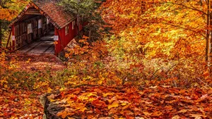 Stunning Fall Foliage Scenery - Vibrant Trees And Beautiful Lake Reflection Wallpaper