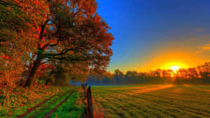 Stunning Fall Sunset Over Autumn Landscape Wallpaper