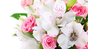 Stunning Floral Arrangement In A Vase Wallpaper