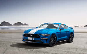 Stunning Ford Mustang Ecoboost On The Road Wallpaper