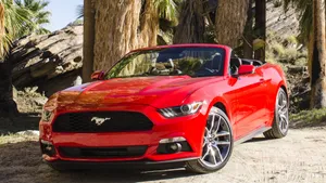 Stunning Ford Mustang Ecoboost On The Road Wallpaper