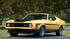 Stunning Ford Mustang Mach 1 In Action Wallpaper