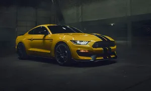 Stunning Ford Mustang Shelby Gt350 In Motion Wallpaper