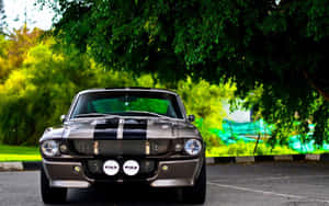 Stunning Ford Mustang Shelby Gt350 In Motion Wallpaper