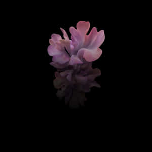 Stunning Galaxy Tab Wallpaper Wallpaper