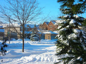 Stunning Golden Sunset At Kempenfelt Bay, Barrie Wallpaper
