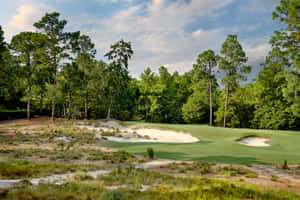 Stunning Golf Green With Bright Blue Sky Wallpaper