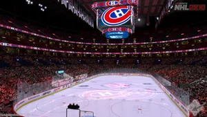 Stunning Ice Rink With A Magical Atmosphere Wallpaper