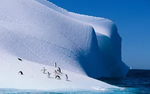 Stunning Iceberg Landscape Wallpaper