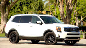 Stunning Kia Telluride On Scenic Route Wallpaper