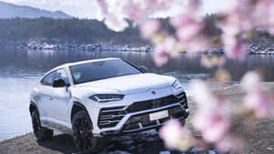 Stunning Lamborghini Urus In Action Wallpaper