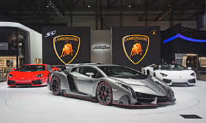 Stunning Lamborghini Veneno On The Track Wallpaper