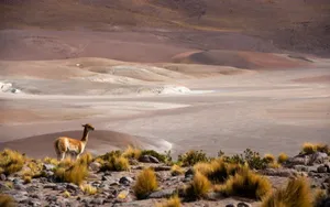 Stunning Landscape Of San Pedro De Atacama, Chile Wallpaper