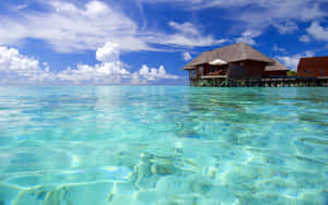 Stunning Maldives Beach Escape Wallpaper