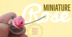 Stunning Miniature Roses In Full Bloom Wallpaper