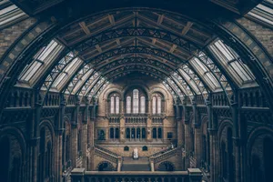 Stunning Natural History Museum Architecture Wallpaper