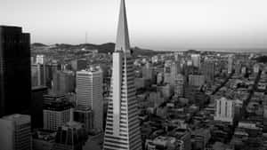 Stunning Photograph Of Transamerica Pyramid Wallpaper