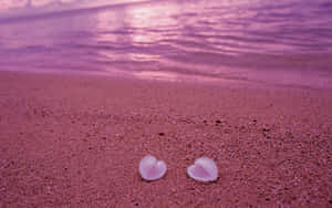 Stunning Pink Sand Beach At Sunset Wallpaper