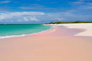 Stunning Pink Sand Beach At Sunset Wallpaper