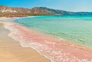 Stunning Pink Sand Beach Glistening Under The Sun Wallpaper