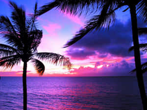 Stunning Purple Sunset At The Horizon Wallpaper