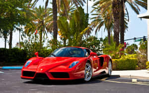 Stunning Red Ferrari Enzo In Action Wallpaper