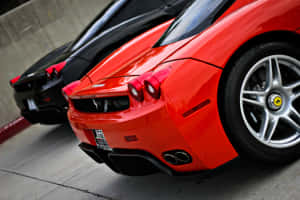 Stunning Red Ferrari Enzo On The Track Wallpaper