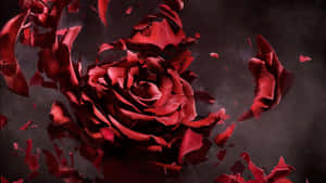 Stunning Rose Art Wallpaper Wallpaper