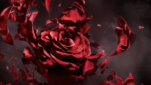 Stunning Rose Art Wallpaper Wallpaper
