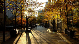 Stunning Scenery Of Trinity Square, Toronto, Canada Wallpaper