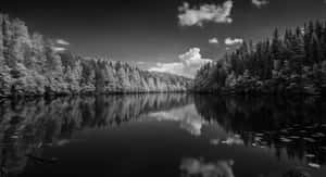 Stunning Serenity In Monochrome Wallpaper