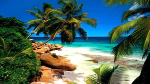 Stunning Seychelles Beach Paradise Wallpaper