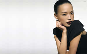 Stunning Shu Qi Posing Elegantly Wallpaper