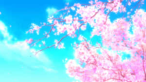 Stunning Sky With Sakura Anime Flowers Scenery Wallpaper