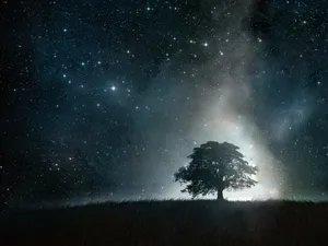 Stunning Star In The Night Sky Wallpaper