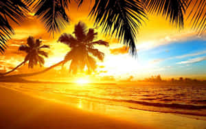 Stunning Sunrise On Yellow Beach Wallpaper