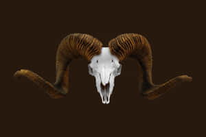 Stunning Sunrise Over The Mountain Wallpaper