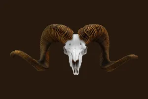 Stunning Sunrise Over The Mountain Wallpaper