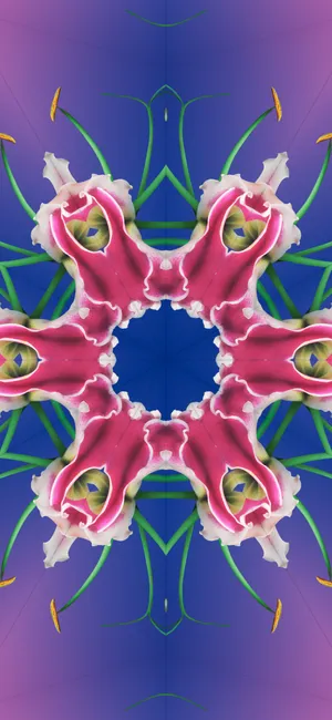 Stunning Sunset Over The Ocean, Captured On Ios 17 Wallpaper