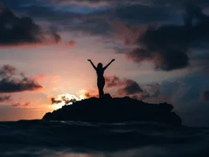 Stunning Sunset Silhouette With Majestic Trees Wallpaper