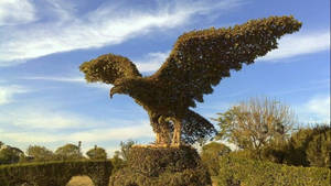 Stunning Topiary Eagle At Minare Park, Iraq Wallpaper