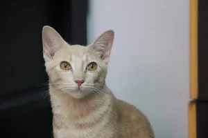 Stunning View Of Marina Bay, Singapore Wallpaper