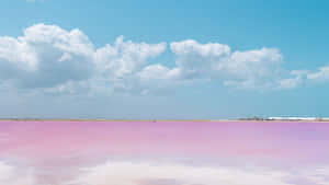 Stunning View Of Pink Beach Paradise Wallpaper